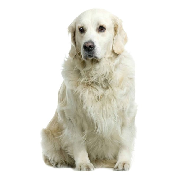 Come migliorare la customer loyalty in un e-commerce di prodotti elettronici di consumo?