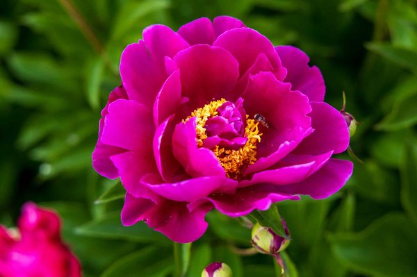 Quali sono i criteri per selezionare un immobile eco-sostenibile a Torino?