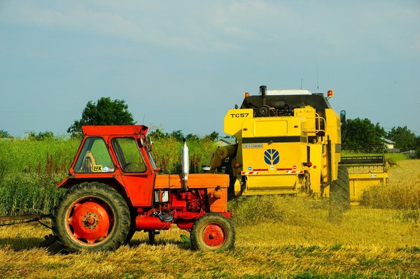 Quali sono gli ultimi sviluppi nell'uso di sensori IoT per il monitoraggio della qualità dei suoli agricoli?